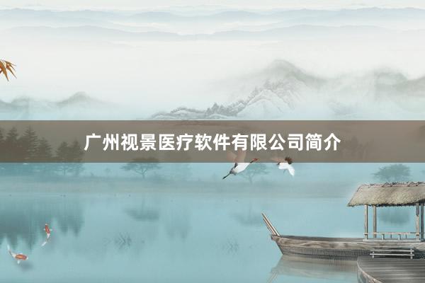 广州视景医疗软件有限公司简介