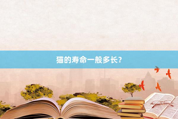 猫的寿命一般多长?